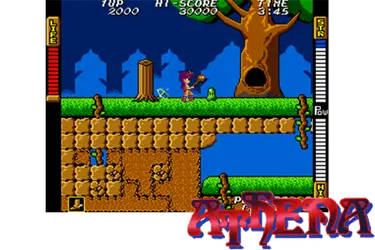 Videogioco da bar Athena Immagine tratta dal videogioco Athena