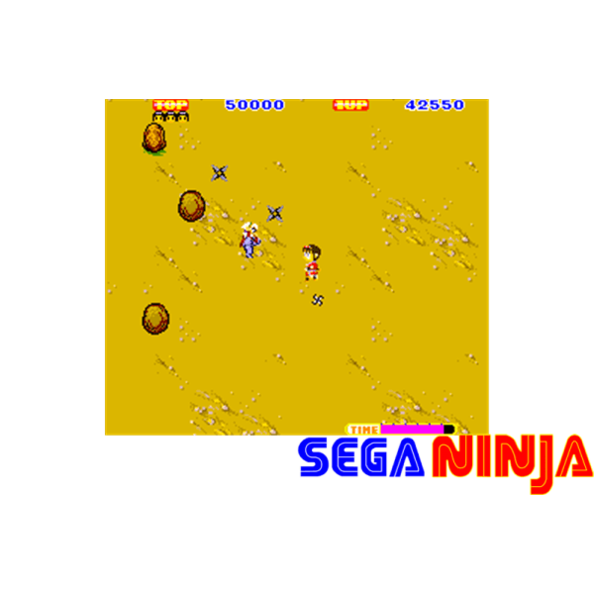 Immagine che porta a spezzone video tratto dal videogioco arcade da sala giochi "Sega Ninja"
