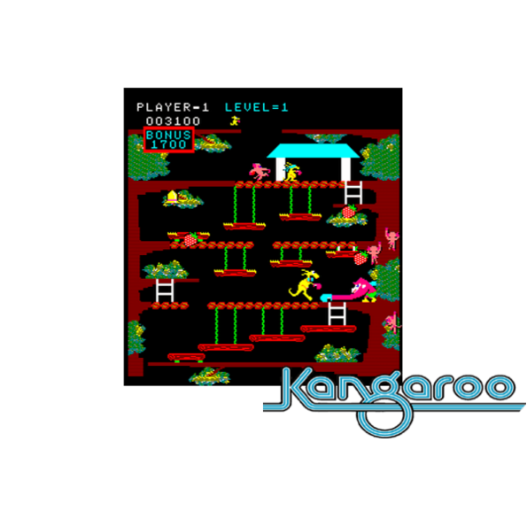 Immagine che porta a spezzone video tratto dal videogioco arcadeda sala giochi "Kangaroo"