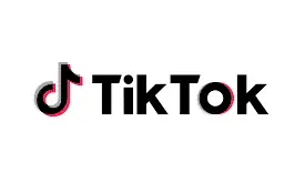 Profilo del gatto Brian su Tik Tok